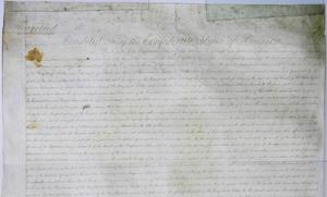 Confederate Constitution