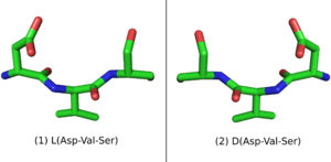 L-Peptide Asp-Val-Ser and its mirror image.