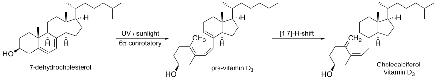Vitamin D3 synthesis.svg