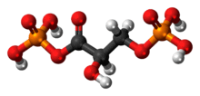 1,3-Bisphosphoglyceric acid molecule