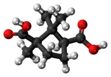 Ball-and-stick model of the camphoric acid molecule