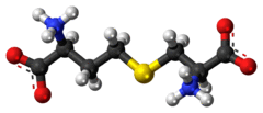 Ball-and-stick model of the cystathionine molecule as a zwitterion