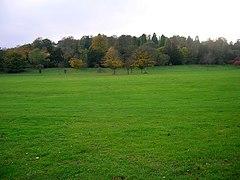 Great Wood, Stanmer Park - geograph.org.uk - 596434.jpg
