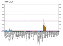 PBB GE COIL 203654 s at fs.png