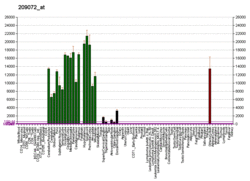 PBB GE MBP 209072 at fs.png