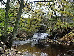 River Ryburn - geograph.org.uk - 1040864.jpg