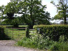 Stapeley farmland.jpg