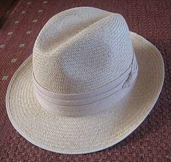 Panama hat.jpg
