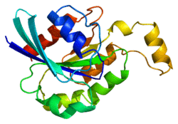 Protein RHOA PDB 1a2b.png