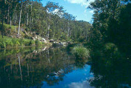 CarnarvonGorge.jpg