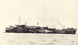 Oceanus ARB-2.jpg