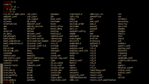 A sample xterm, running the Bash shell, showing a listing of /etc.
