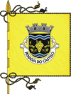 Flag of Penalva do Castelo