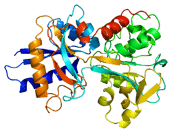 Protein TF PDB 1a8e.png