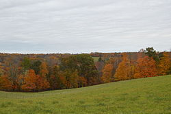 Hill country in the central part of the township