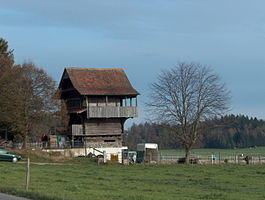 Bauernstockli Hamikon.jpg