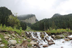 Landscape6.JPG