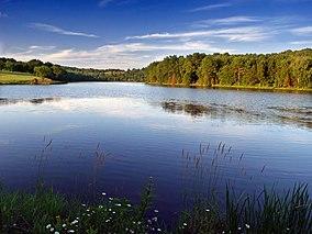Stephen Foster Lake (2).jpg