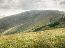 Ostredok, Veľk&aacute; Fatra (SVK) - NE slope.jpg