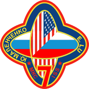 Expedition 7 insignia.svg