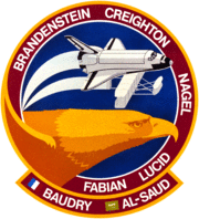 Sts-51-g-patch.png