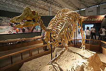 Nipponosaurus.jpg