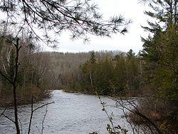 Opeongo River.jpg