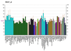 PBB GE ADRBK1 38447 at fs.png