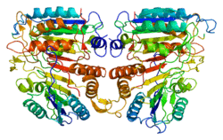 Protein CASP9 PDB 1jxq.png