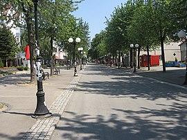 Lazarevac Goran Necin July 7, 2012.jpg