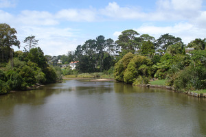 Orakei Creek in Meadowbank, as seen from the Waiatarua Road overbridge
