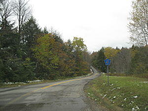 Steuben County Route 41 reassurance marker.jpg