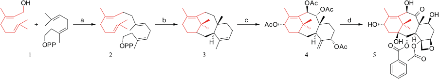 Scheme 1. Paclitaxel biosynthesis. OPP stands for pyrophosphate.