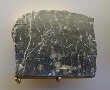 Microfossils of microbes similar to cyanobacteria, Gunflint Formation, north shore of Lake Superior, 1.9 billion years old, chert - Redpath Museum - McGill University - Montreal, Canada - DSC07897.jpg