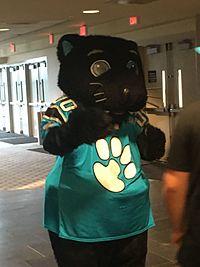 Sir Purr 2016.jpeg