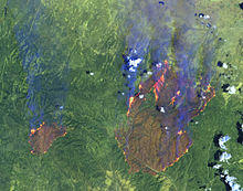 Rodeo-Chediski Fire.jpg