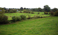 Austerson fields by Weaver.jpg