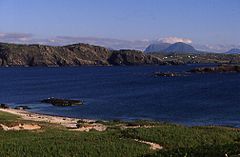 Handaquinag.jpg