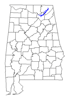 Lake Guntersville.gif