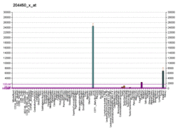 PBB GE APOA1 204450 x at fs.png