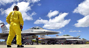 182d Fighter Squadron - F-16s.jpg