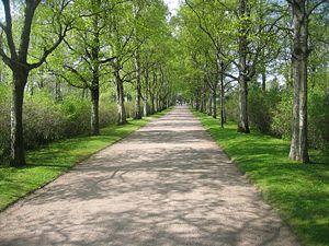 A road at Hietaniemi cemetery.JPG