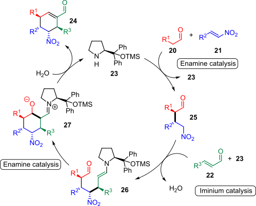 Scheme 5. Proposed catalytic cycle for the asymmetric triple organocatalytic cascade