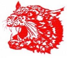 Bearcat.JPG