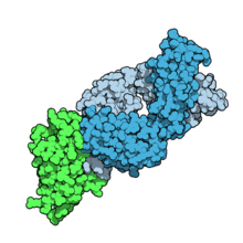 Tremelimumab 5GGV.png