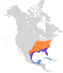 Vireo griseus map.svg
