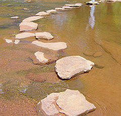 A rustic stepping stone bridge across a stream.