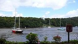 River between Crosshaven and Carrigaline, Co Cork - geograph.org.uk - 1427312.jpg