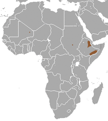 Somali Shrew area.png