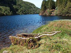 View of the lake Kossdalsvatnet
